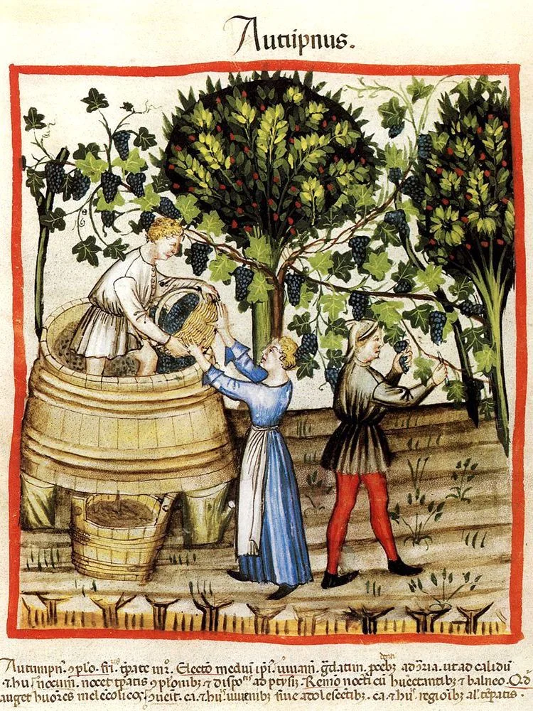 Le droit et le vin