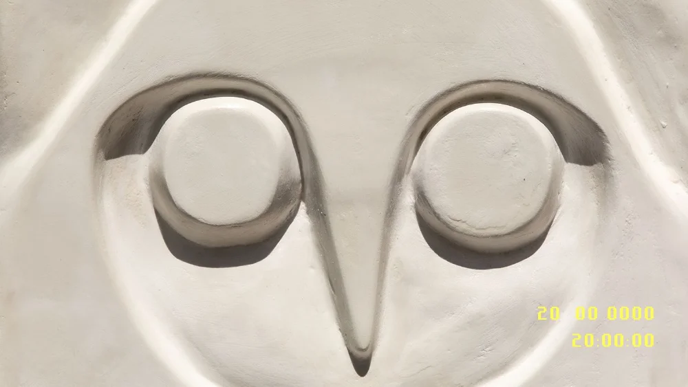 #20